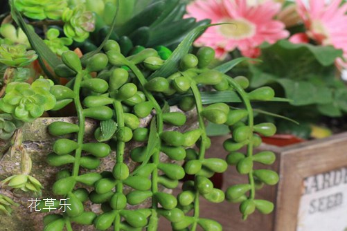 动漫排行榜2013国产成人精品免费视频app软件，那个年度的热血与梦幻交织，永恒的经典再回首